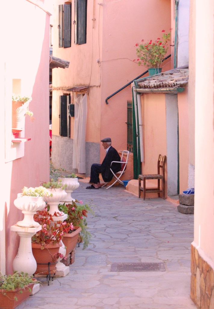 Kinopiastes contemplation