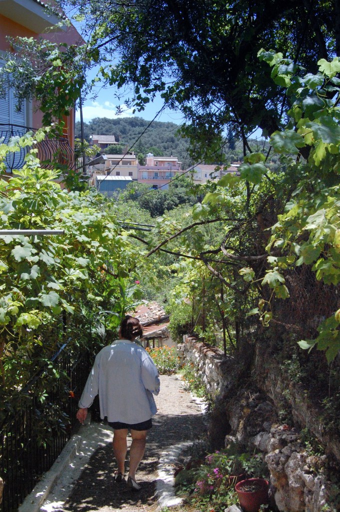 Vine-shaded pathway in Nymfes