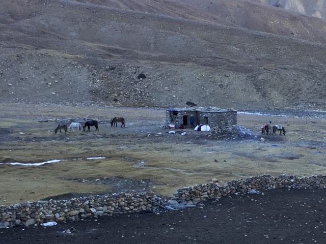 IMG_2739 - Version 2.jpg