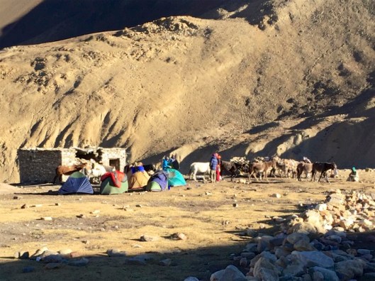 IMG_2750 - Version 2.jpg