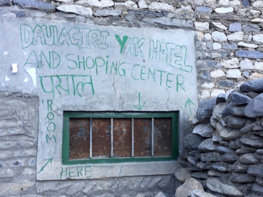 IMG_2881 - Version 2.jpg