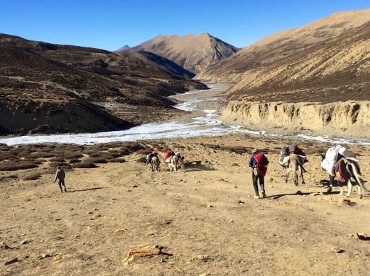 IMG_2964 - Version 2.jpg