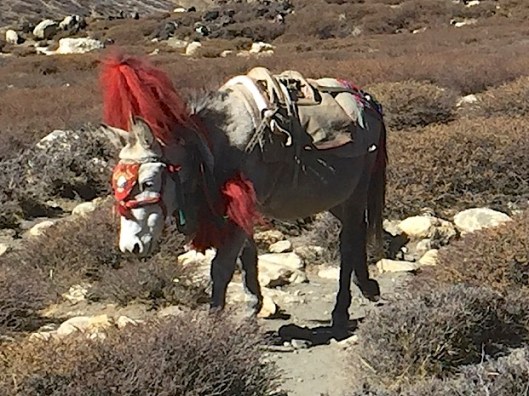 IMG_2988 - Version 3.jpg