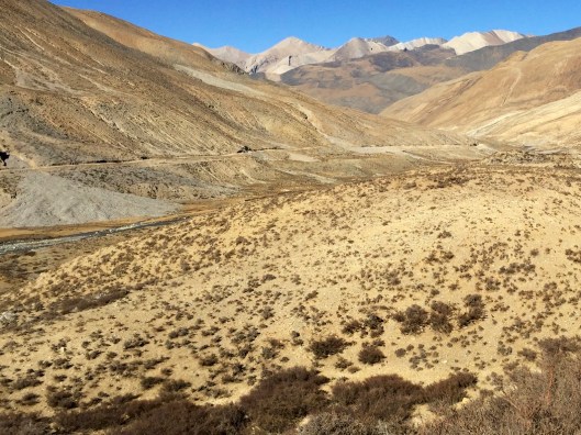 IMG_3036 - Version 2.jpg