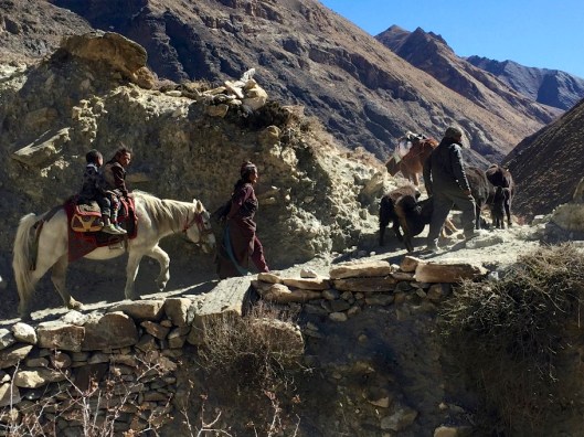 IMG_3126 - Version 2.jpg