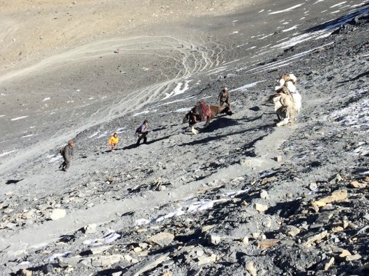 IMG_3551 - Version 2.jpg