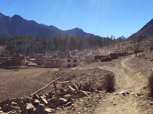 IMG_3884 - Version 2.jpg