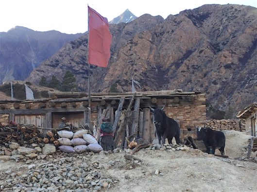 IMG_3901 - Version 2.jpg