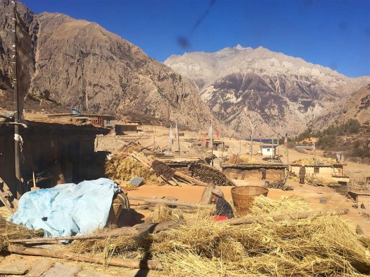 IMG_3988 - Version 2.jpg