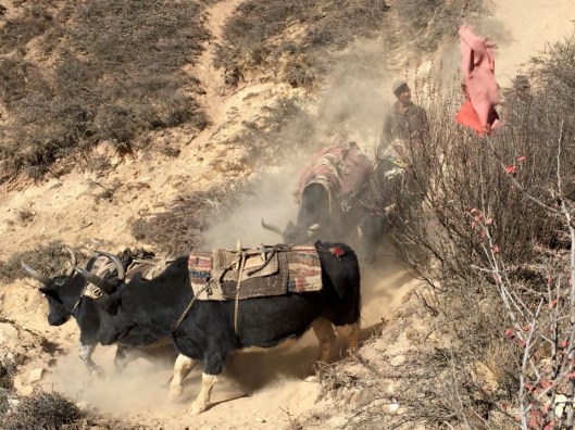 IMG_4061 - Version 2.jpg